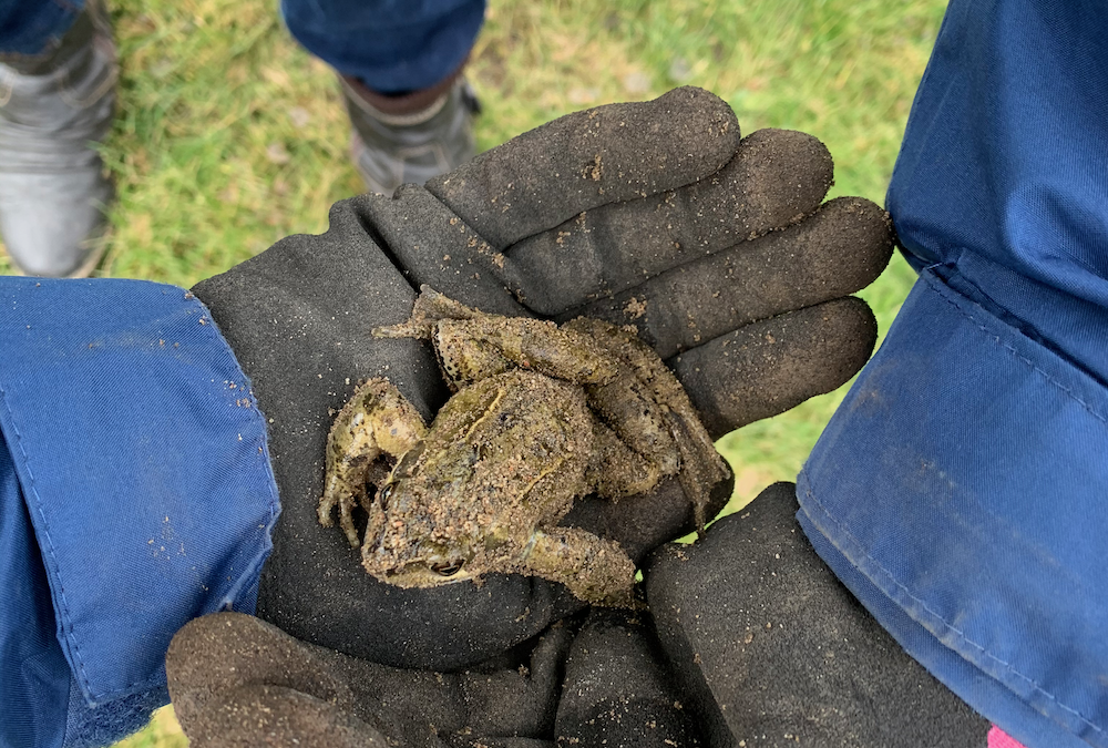27.2.21 Platz da, wir brauchen freie Fläche