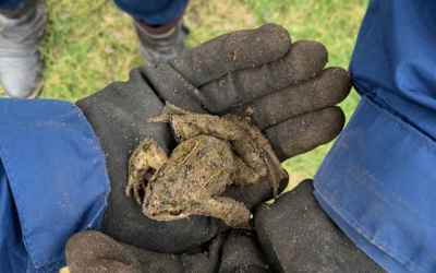 27.2.21 Platz da, wir brauchen freie Fläche